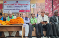 गठबन्धन हैन संगठन बलियो बनाउँ : नेपाल